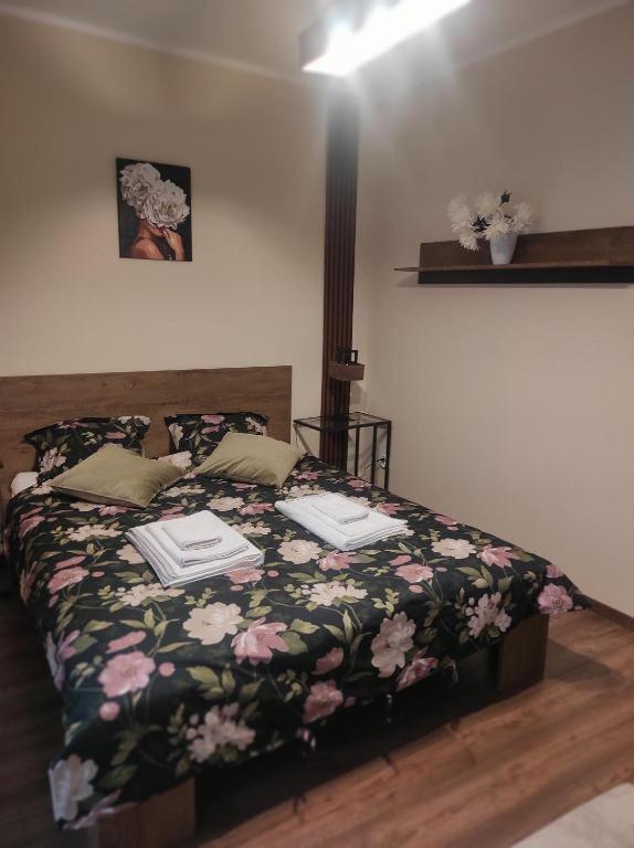 Centrum Rp Apartment Katowice